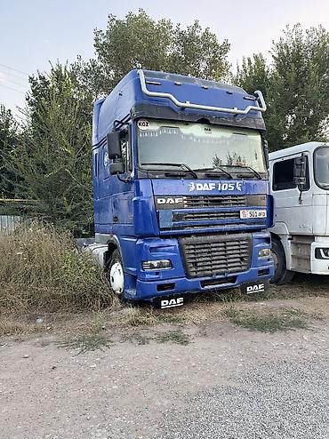 385 55: Тягач, DAF, 2003 г., Без прицепа — 1