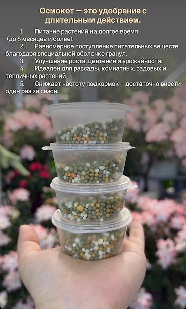 Комнатные растения: Осмокот — гранулированное удобрение длительного действия. - — 1