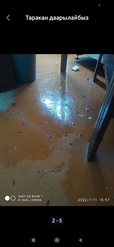 Дезинфекция, дезинсекция: Дезинфекция, дезинсекция, | Клопы, Блохи, Тараканы, | Транспорт, Офисы, Квартиры at lalafo.kg — 12 Дезинфекция, дезинсекция: Дезинфекция, дезинсекция, | Клопы, Блохи, Тараканы, | Транспорт, Офисы, Квартиры — 12