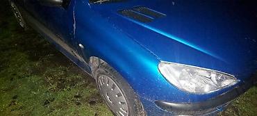 dacia srbija: DESNO KRILO PLAVO XS ZA PEUGEOT 206 | imam sve delove za peugeot 206 — 1