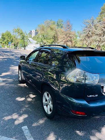 rx 2010: Lexus RX: 2006 г., 3.5 л, Автомат, Бензин, Кроссовер — 9