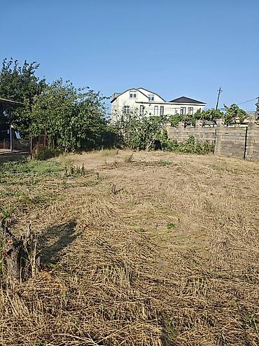 astara ev kiraye: 7 sot, Tikinti, Mülkiyyətçi, Kupça (Çıxarış) — 1