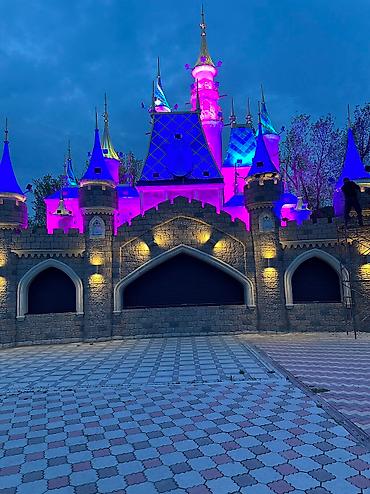 Откатные ворота: Ворота Автоматические Ворота Можете с легкостью открывать с пульта — 4