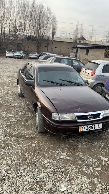 Opel: Opel Vectra: 1992 г., 1.8 л, Механика, Бензин, Кабриолет