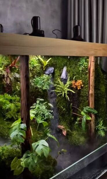 Akvarium aksessuar və ləvazimatları: Su canlıları sqxlamaq üçün uyğumdur. Sistem 24 və 12 volt enerji ilə — 9