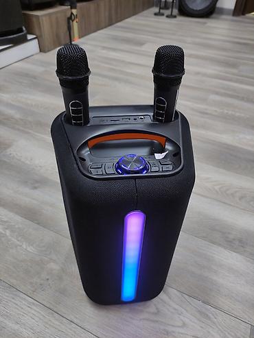 bud e2: КАРАОКЕ СИСТЕМА ДЛЯ ВЕЧЕРИНОК ABS-6205 с 2-мя беспроводными — 2