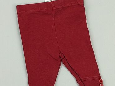 czerwone spodnie: Legginsy, Tu, 0-3 m, stan - Dobry