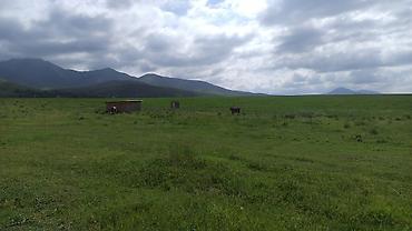 Продажа участков: 5 соток, Для строительства — 3