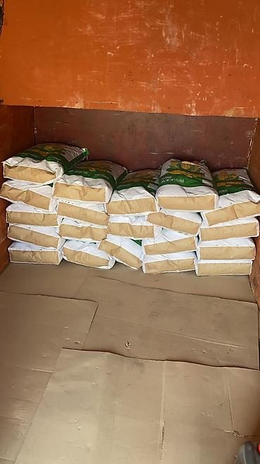 Пшеница: Жугору урук кукуруза 🌽 беде Арпа урук сулуу оптом достовка бар — 3