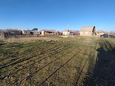 Продажа участков: 5 соток, Красная книга — 4