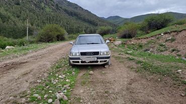 аудию 80 б4: Audi 80: 1992 г., 2 л, Механика, Газ, Седан
