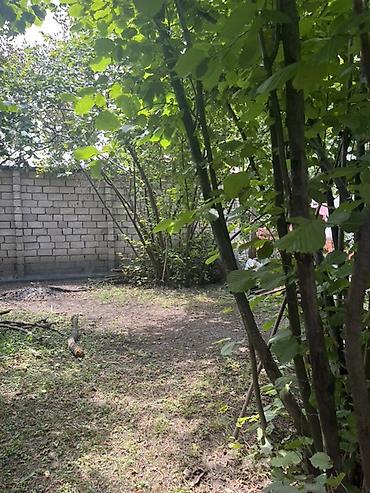 Torpaq sahələrinin satışı: Kupça (Çıxarış) -da lalafo.az — 7 Torpaq sahələrinin satışı: Kupça (Çıxarış) — 7