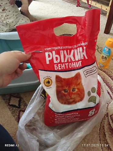 Зоотовары: Лоток для кошек с высоким бортом "Сибирская кошка" предназначен для — 10