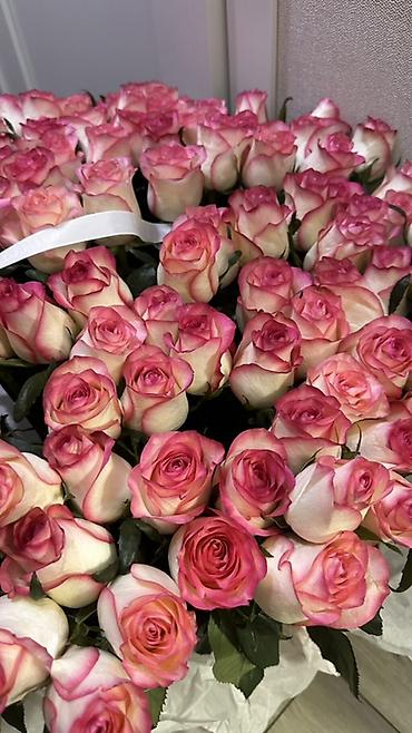 ваза для цветов бишкек: !Только что получили! 151 Роза свежие😍 — 3