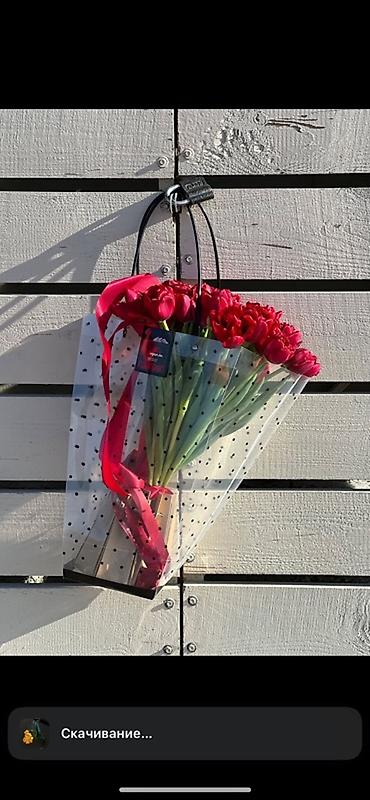 Цветы и букеты: Тюльпаны Tulips Alex💐🌷🌷 - Срезанные тюльпаны в упаковках по пучкам, в — 21