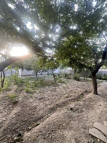 үй жер: Срочно Арча Бешик тен 6 соток уй сатылат Мал кармаганга ынгайлуу — 7
