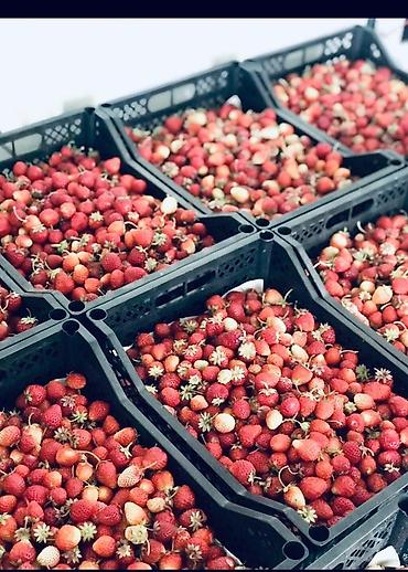 Ящики: Ящик, Новый — 10