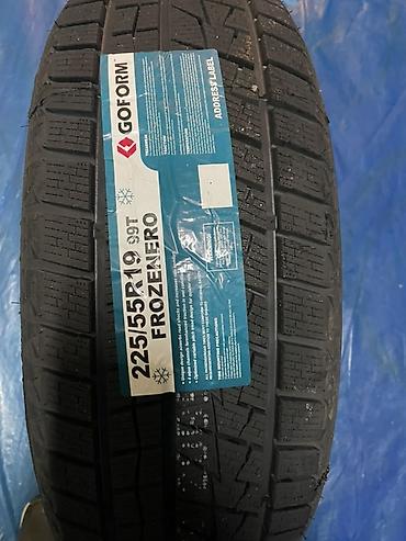e 302: Зимняя шина GOFORM FROZENERO 225/55 R19 99T - Тип: зимняя (несколько — 1