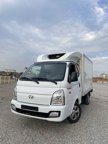 купить задний фонарь: Hyundai Porter: 2019 г., 2.5 л, Автоматтык, Дизель, Van