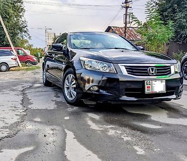 хонда акорд 2008: Honda Accord: 2008 г., 2.4 л, Автомат, Бензин, Седан — 2