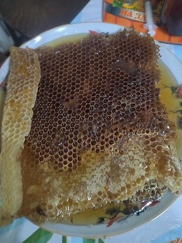 соты: Соты с натуральным мёдом - Цельные и не цельные пчелиные соты, очень — 1