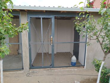 Həyət darvazaları: Müxtəlif üslubda və rənglərdə hazırlanmış metal qapılar təklif olunur — 21