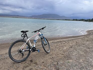 диска семерка: Горный велосипед, Cube, Рама XL (180 - 195 см), Алюминий, Б/у