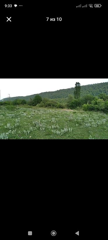 d4 50: 50 sot, Mülkiyyətçi, Kupça (Çıxarış) — 7