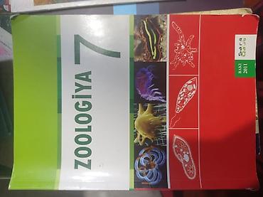 İdman və hobbi: Biologiya 6-cı sinif, 2011 il — 2