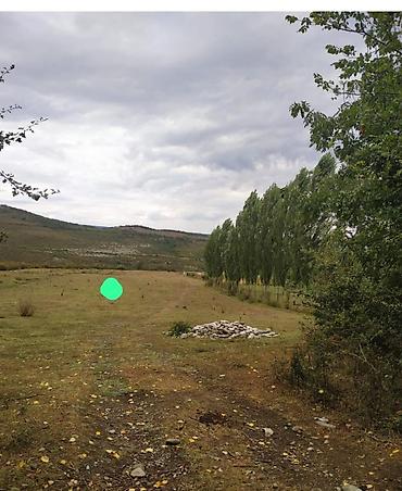 dağ: Kənd təsərrüfatı — 2