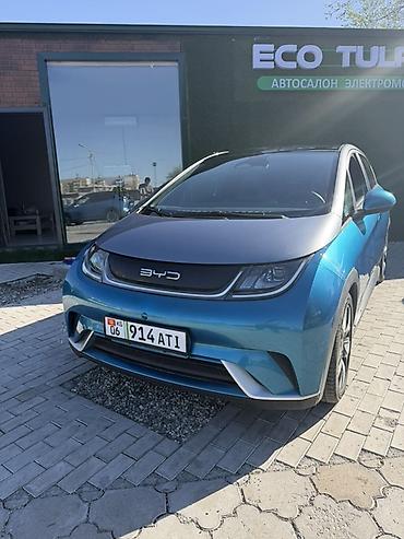 BYD: BYD Dolphin: 2021 г., Электромобиль, Хэтчбэк — 1