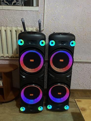 Срочно продается профессиональный колонки с двумя микрофонами, можно