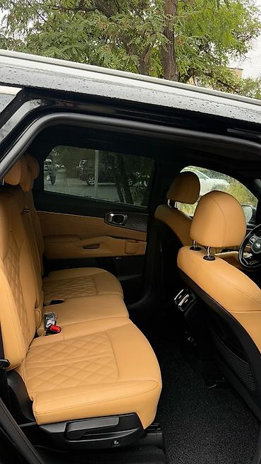 шторки для авто: Kia Sorento: 2020 г., 1.6 л, Автомат, Кроссовер — 4