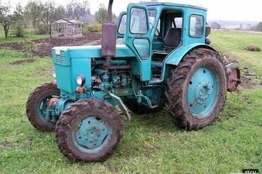 мини трактор гусеничный: Куплю трактор не дорого