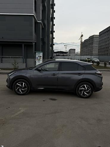 Weltmeister: Weltmeister 2022 г., 75000 км — 9