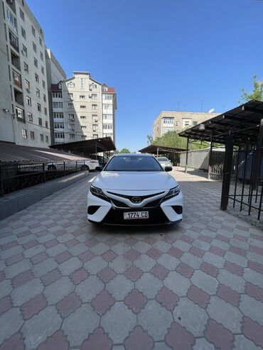тойота камри бу: Toyota Camry: 2019 г., 2.5 л, Автомат, Бензин