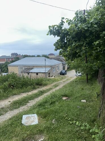 Torpaq sahələrinin satışı: Kənd təsərrüfatı, Kupça (Çıxarış) — 22