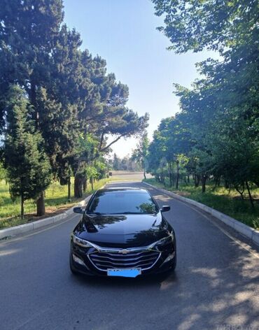 Chevrolet: Chevrolet Malibu: 1.5 l | 2019 il 119000 km Sedan — 6