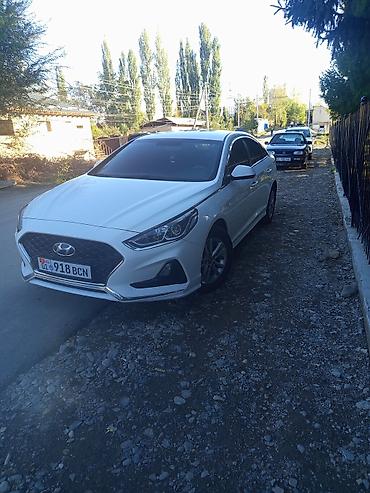 аренда авто с последующим выкупом в бишкеке: Hyundai Sonata: 2019 г., 0.2 л, Автомат, Газ, Седан — 1