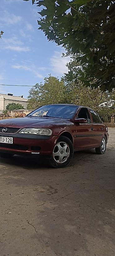 avtomobil ucun aksesuarlar: Opel Vectra sedan - Kuzov: 4 qapılı sedan, tünd qırmızı rəng - — 1