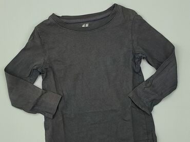 sweterek szary: Bluza, H&M, 3-4 lat, 98-104 cm, stan - Dobry