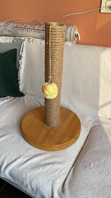 toy oudel: Pişik üçün qaşıma dirəyi - Material: təbii ağacdan hazırlanmış — 2