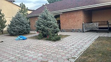 Үйлөрдү ижарага берүү: 380 м², 6 бөлмө жана андан көп, Арча-Бешик ж/м, Жаныбарлар менен болот — 4