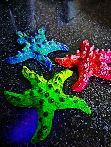 Зоотовары: 🌿 Украшения и декорации для аквариумов и террариумов 🌿 Продаю — 21