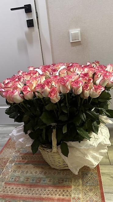 ваза для цветов бишкек: !Только что получили! 151 Роза свежие😍 — 2