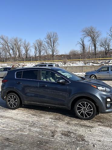 Kia: Kia Sportage: 2019 г., 2.4 л, Автомат, Бензин, Кроссовер — 3