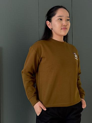 Толстовки, худи: Свитшот, С надписью, 2XL — 2