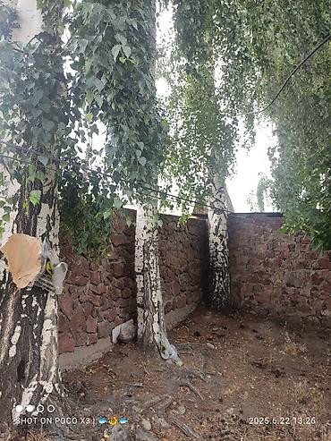 Продажа коттеджей и домов: Дом в ЧолпонАте р-он Хутор на участке более 10соток Продажа, два дома — 22