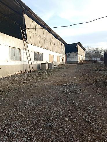 Продажа сельхоз предприятий: Продается производственная база с фермой свинарником at lalafo.kg — 6 Продажа сельхоз предприятий: Продается производственная база с фермой свинарником — 6