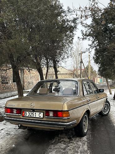 Mercedes-Benz: Mercedes-Benz W123: 1981 г., 2.8 л, Механика, Седан — 3